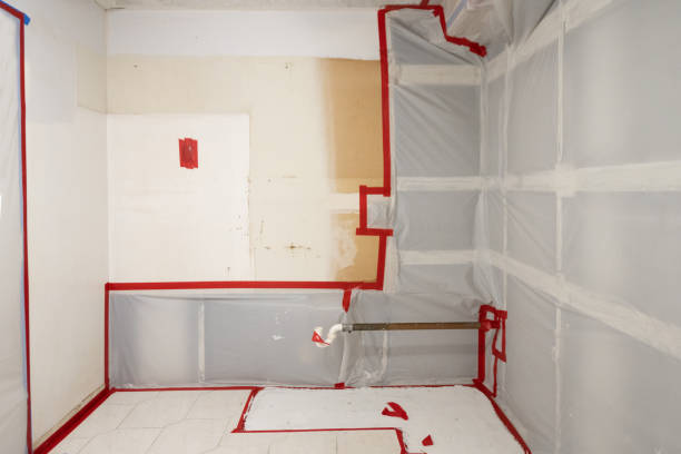 Best Dehumidification Services  in Spring Arbor, MI