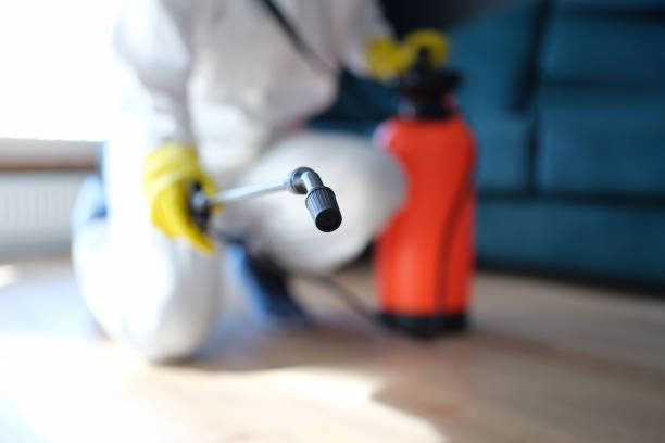 Best Industrial Mold Remediation  in Spring Arbor, MI