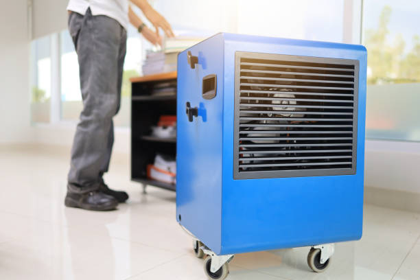 Biohazard Mold Removal in Spring Arbor, MI