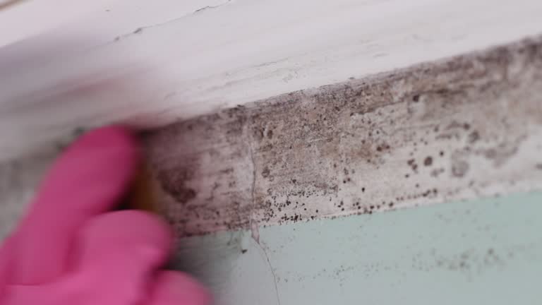 Best Post-Remediation Verification Testing  in Spring Arbor, MI